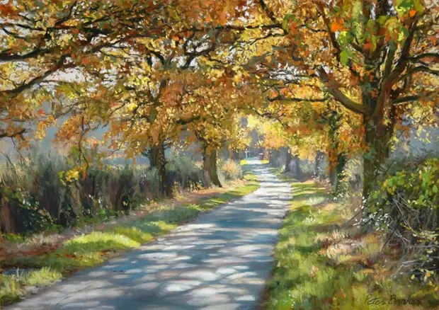  Peter Barker ( )