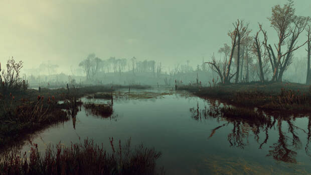 Страна мха и воды: где находится крупнейшее болото планеты