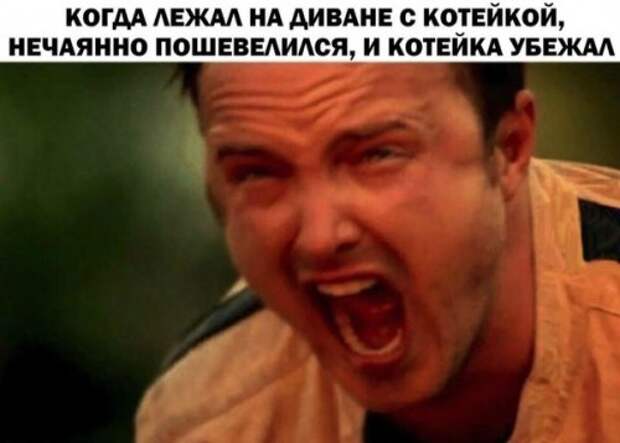 Свежие фотомемы на Бугаге (23 фото)