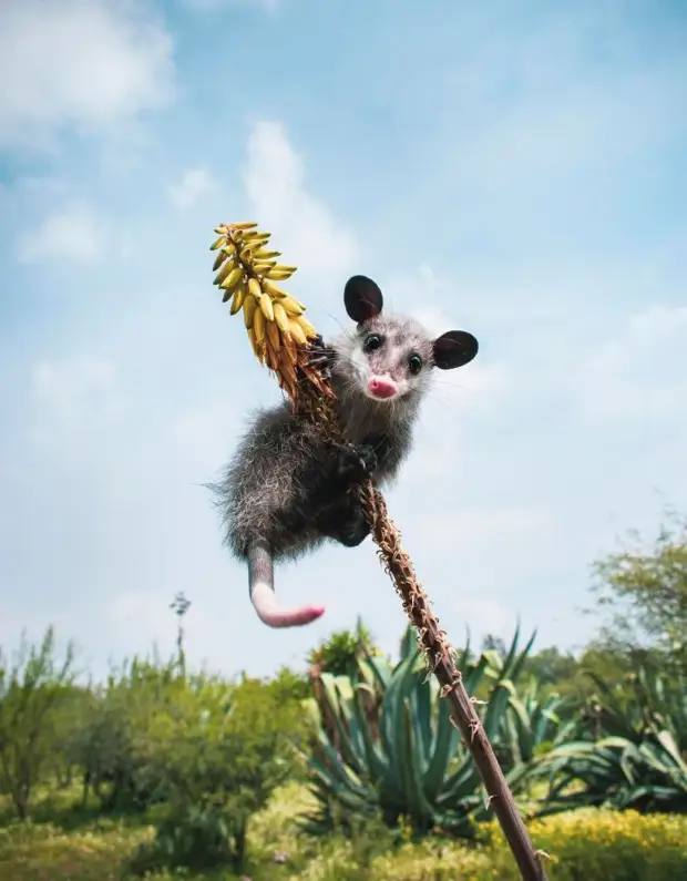 Позитив и юмор в смешных фотографиях