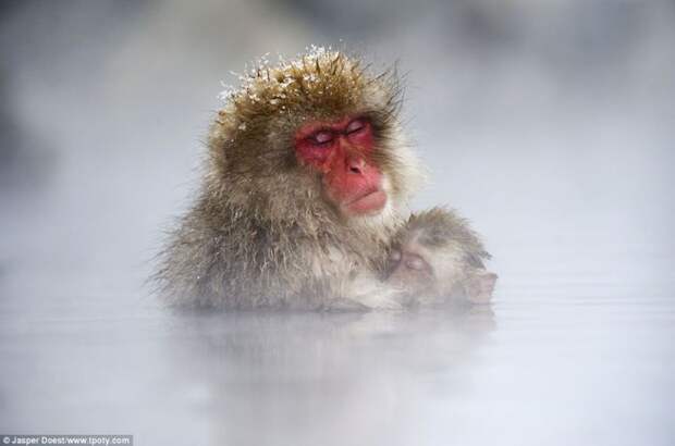 Победители конкурса Travel Photographer Of The Year 2013 trvlphtgrphr17 Победители конкурса Travel Photographer Of The Year 2013