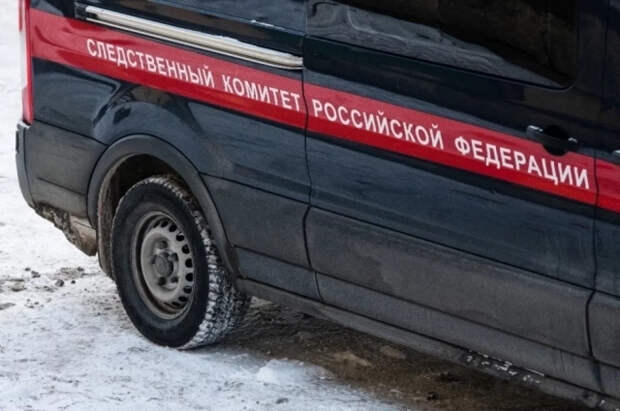 Бастрыкин поручил предоставить доклад о пропаже двух сестер в Петербурге