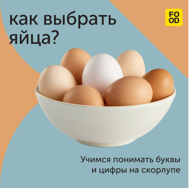 Как выбрать яйца — учимся понимать буквы и цифры на скорлупе