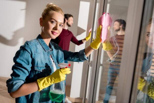 Как правильно мыть москитную сетку