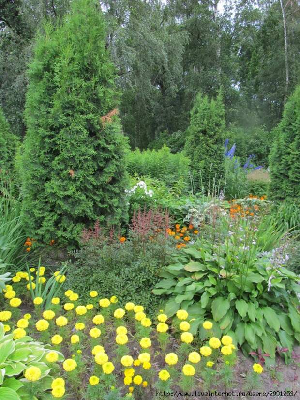 IMG_2854 (525x700, 430Kb)