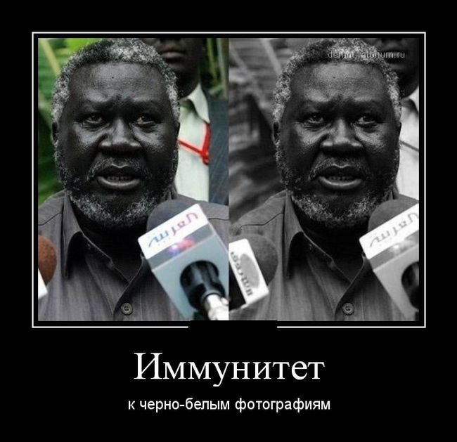 Демотиваторы для поднятия настроения. Не скучай!