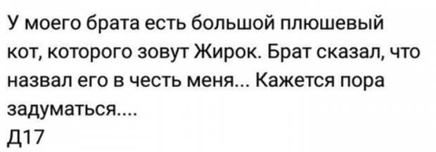 Юмор, шутки и комментарии из социальных сетей (22 скриншота)