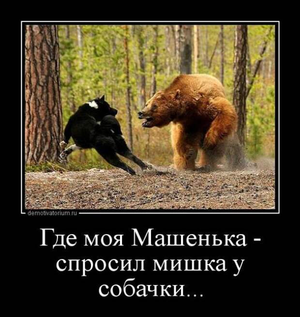 Немного новых демотиваторов