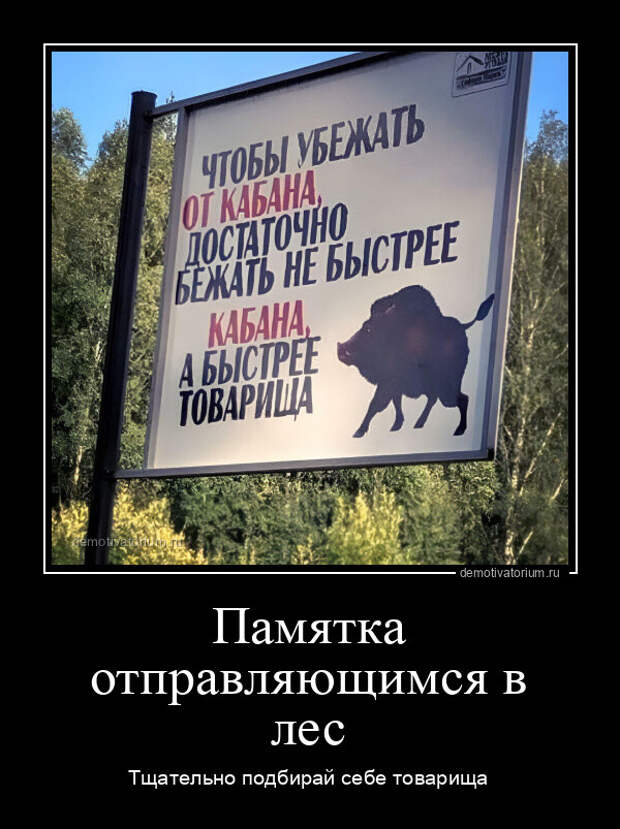 Прикольные демотиваторы на Бугаге (13 шт)