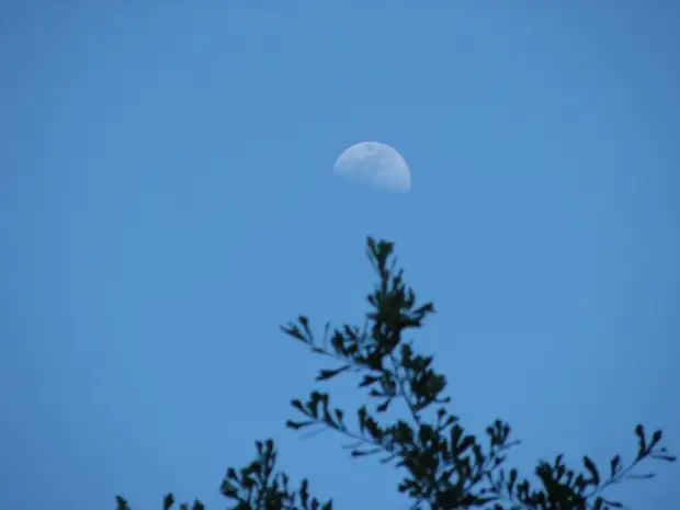 10 небесных тел, которые можно разглядеть даже в дневное время