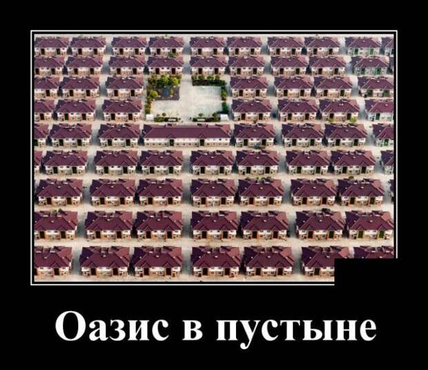 Демотиватор про оазис