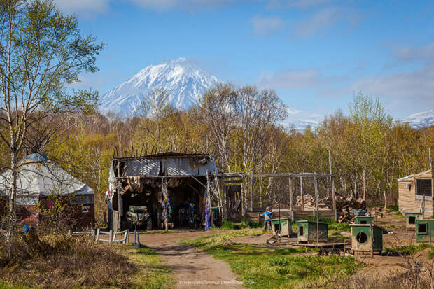 Как я на Камчатке шаманил путешествия, факты, фото