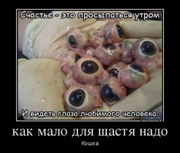 Демотиваторы, наши прикольные цитаты.