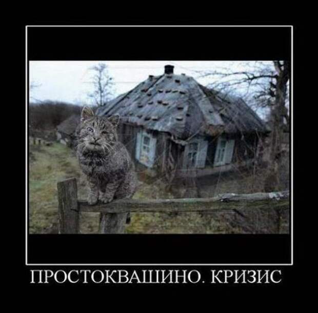 Демотиваторы по русски 1