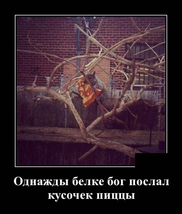 Демотиваторы смешные