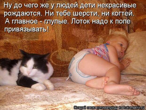 Лучшие котоматрицы недели Лучшие котоматрицы недели