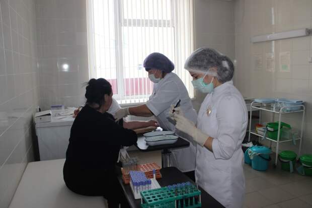 Формируя новую культуру здоровьесбережения