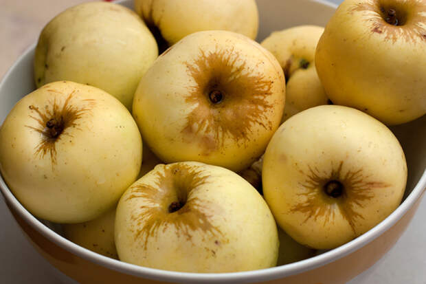 Пшеничные яблоком. Янтарное яблоко. Яблоки янтарные йж. Яблоки янтарка фото.
