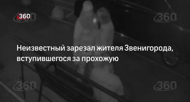 «360»: мужчина зарезал жителя Звенигорода из-за лая пса