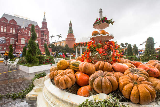 Фестиваль "Золотая осень". Фото из открытого источника
