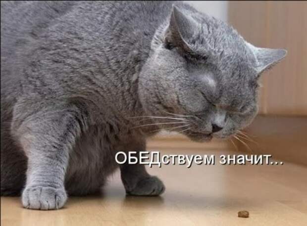 4c97979fca8b1f6ce64fa12e31e_prev