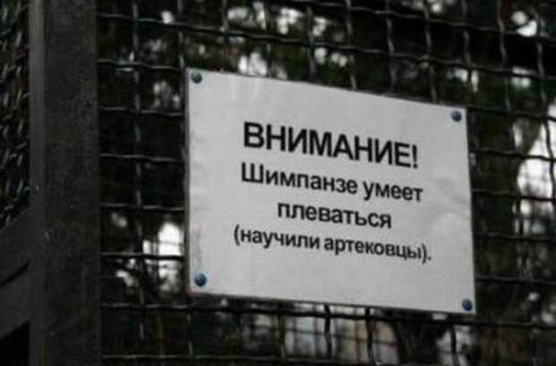 артековцы