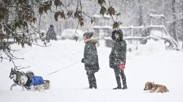 Синоптик Ильин назвал количество выпавшего снега в Москве рекордным за полвека