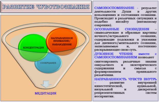 развиваем чувствознание