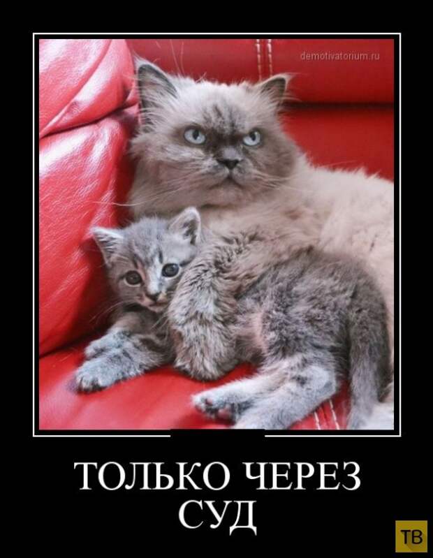 Подборка демотиваторов 3. 10. 2014 (32 фото)