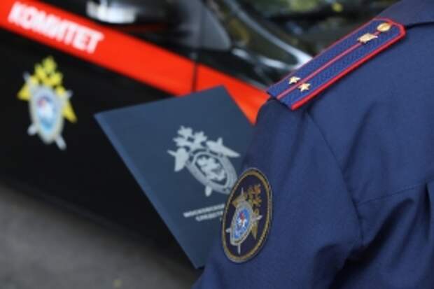 Председателю СК России будет представлен доклад о расследовании обстоятельств причинения подростками телесных повреждений несовершеннолетнему в Челябинске