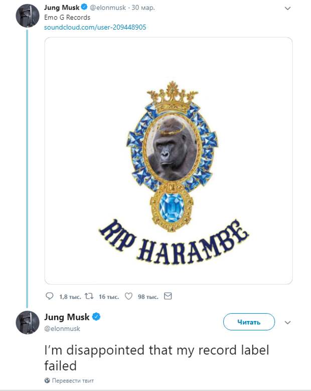 Илон Маск записал рэп про гориллу Харамбе
