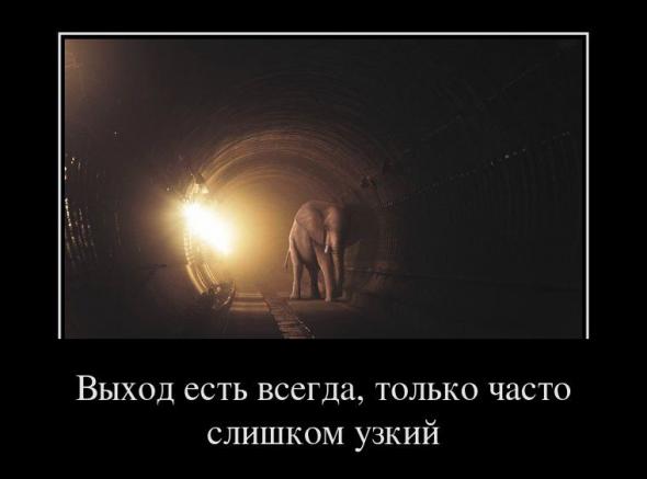 Демотиваторы " 101 %" 26/02/12