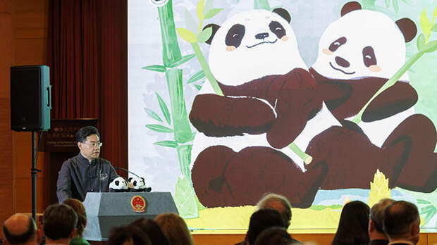 УКРАИНА И ТАЙВАНЬ ВСЁ. ПРЕСС-КОНФЕРЕНЦИЯ НОВОГО ГЛАВЫ КИТАЙСКОГО МИД ОТПРАВИЛА США В НОКАУТ