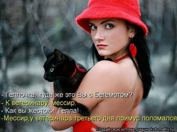 фотографий животных с подписями (50 фото)