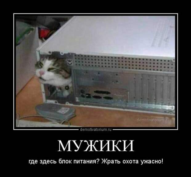 Новые демотиваторы-приколы (17 шт)