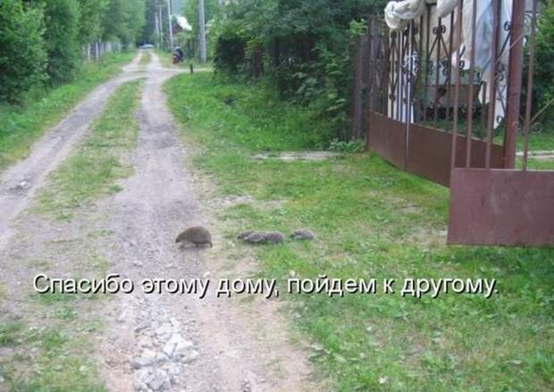 Мысли вслух :)