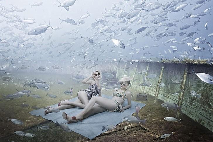 Жизнь на затонувшем корабле: подводный мир фотографа и дайвера Андреаса Франке