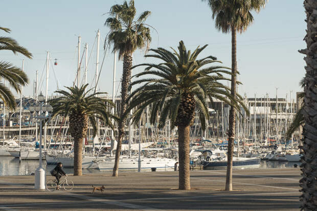 Блог - Nobu Hotel Barcelona — магия Барселоны для искушенных путешественников Nobu Hotel Barcelona — магия Барселоны для искушенных путешественников