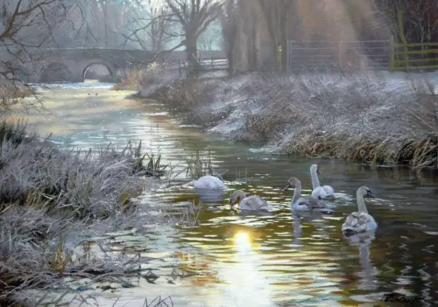  Peter Barker ( )