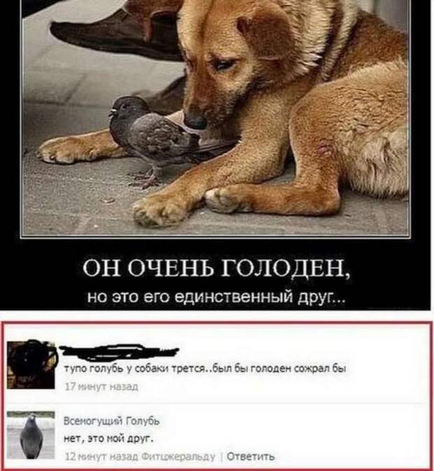 Смешные комментарии. Подборка chert-poberi-kom-chert-poberi-kom-56551017092020-13 картинка chert-poberi-kom-56551017092020-13