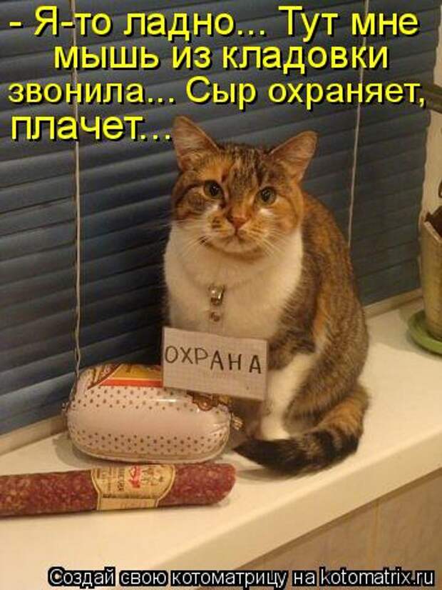 Котоматрица - - Я-то ладно... Тут мне мышь из кладовки  звонила... Сыр охраняет, пла