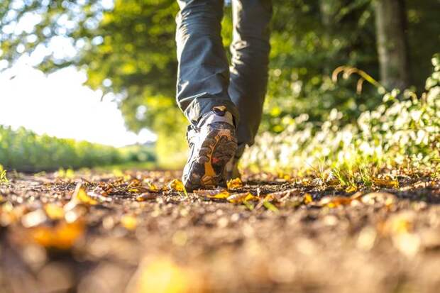Пять причин, почему пешая прогулка лучше спортзала | Комментарии Украина