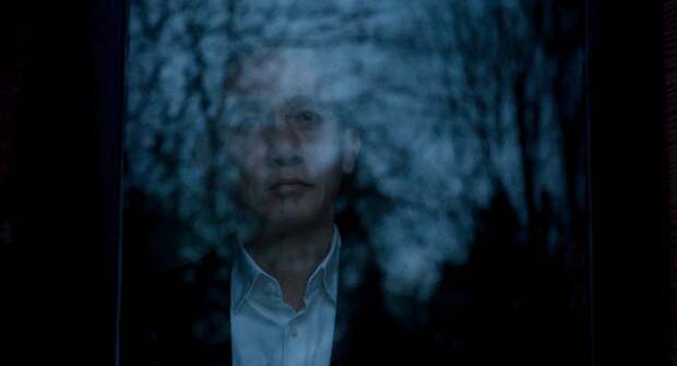 Звук растения: «Молчаливый друг» — философская драма о том, что нужно людям во все времена