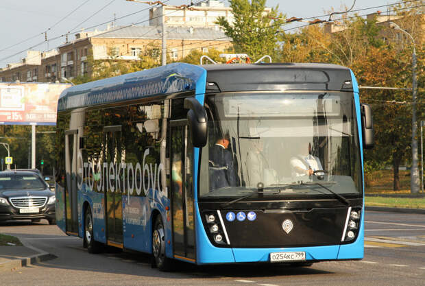 106082_1.jpg