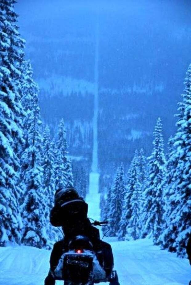 Смешное - невероятное