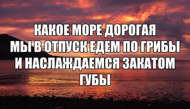 Актуальные цитаты