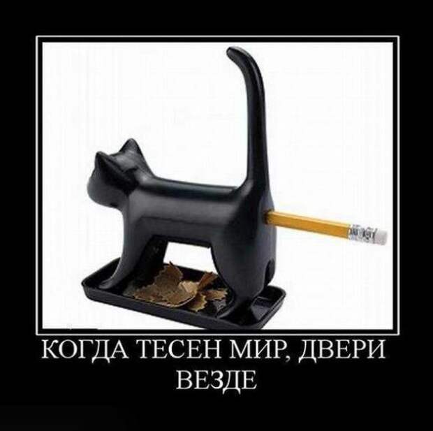 Новые демотиваторы с приколами и смыслом