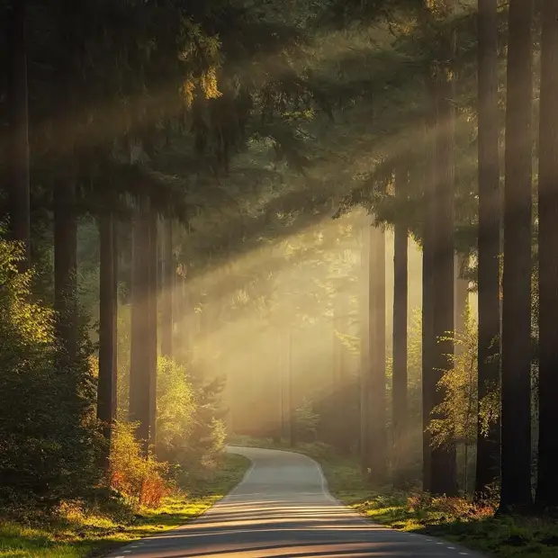 ��������� ����