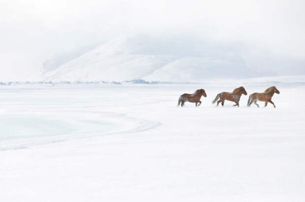 Необыкновенные фотографии стали возможны и благодаря сюрреалистическим снежным пейзажам Исландии. 