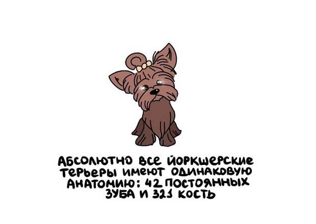 Короткие интересные факты на все случаи жизни